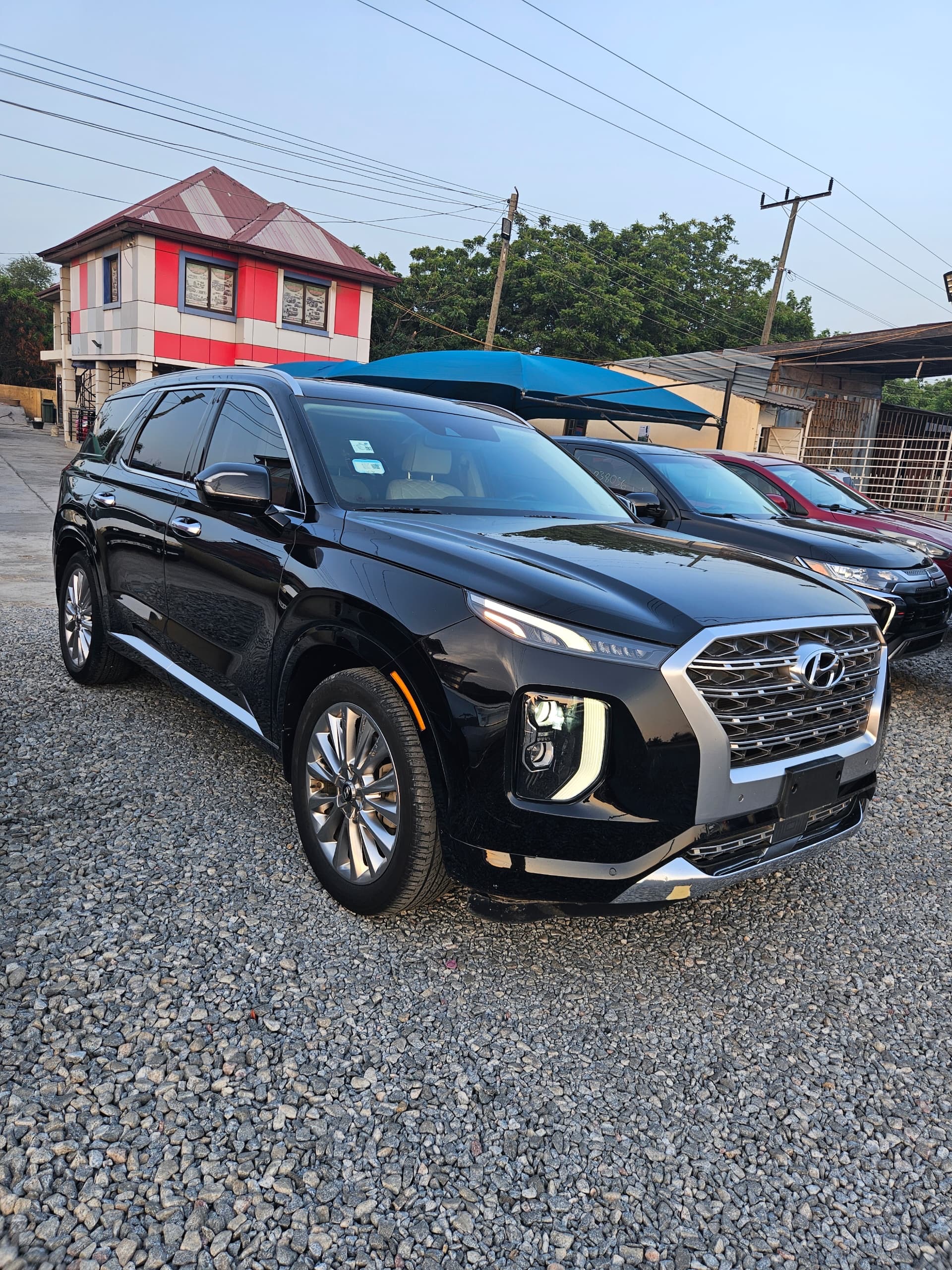 								Hyundai Palisade Limited (2020) full									