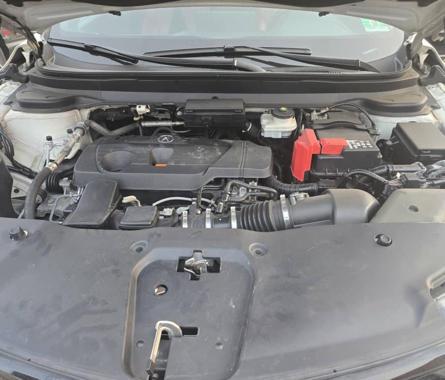 								Acura RDX (2019 – Red Interior) full									