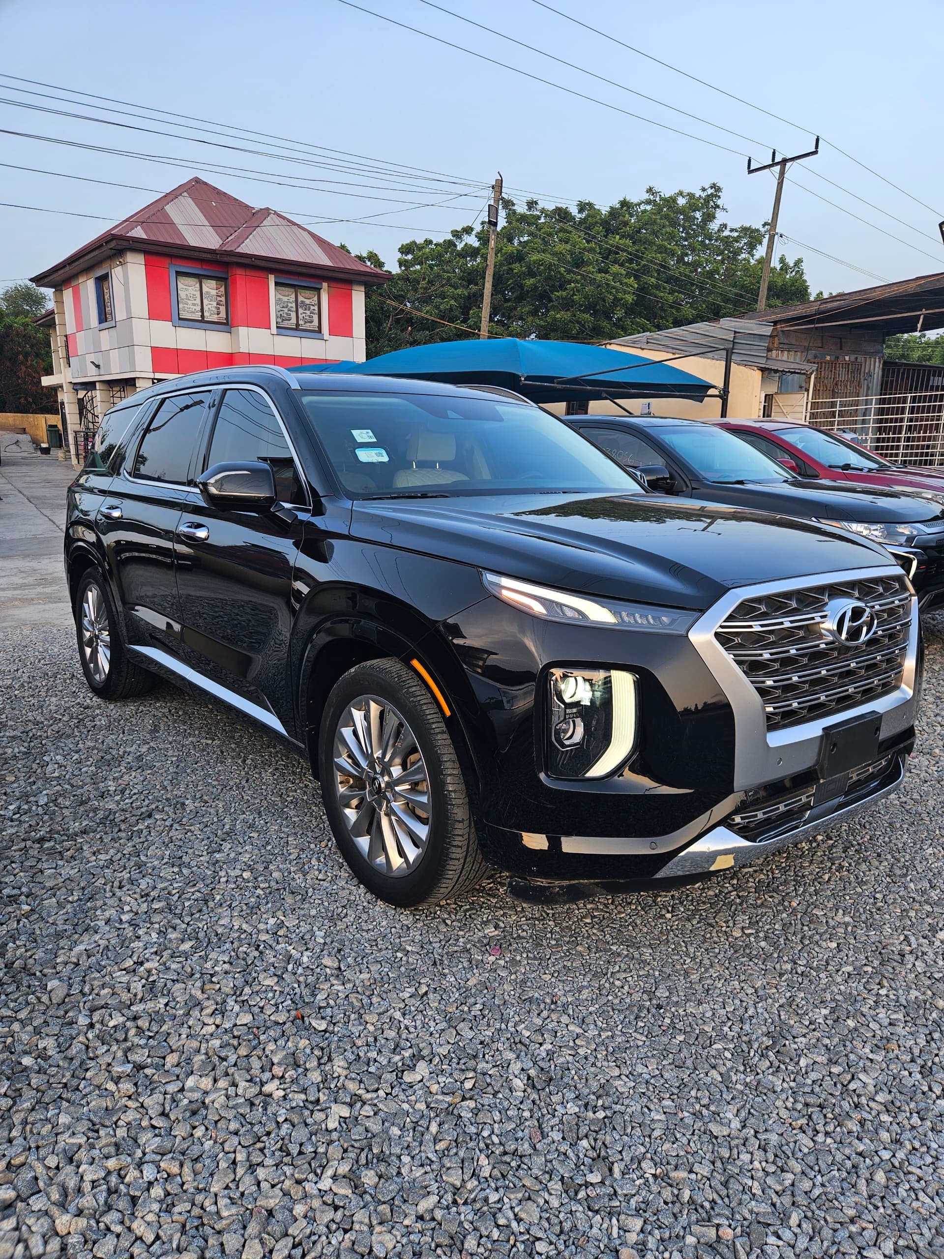 								Hyundai Palisade Limited (2020) full									