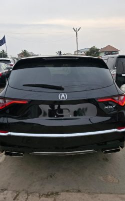 WhatsApp Image 2026-02-19 at 12.53.46