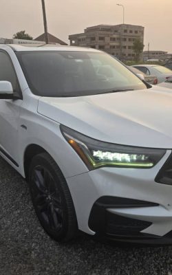 WhatsApp Image 2026-02-19 at 12.56.38