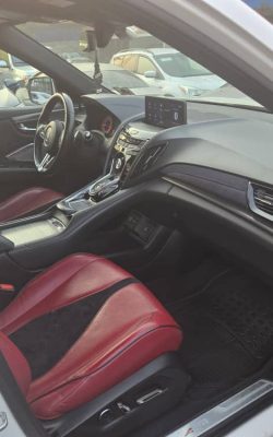 WhatsApp Image 2026-02-19 at 12.56.40